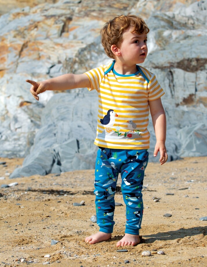 Set camiseta y pantaln Frailecillo
