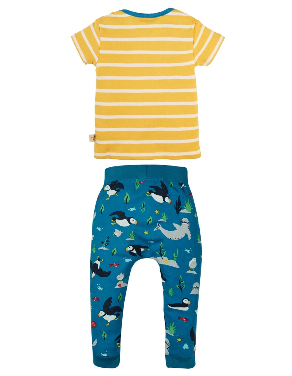 Set camiseta y pantaln Frailecillo